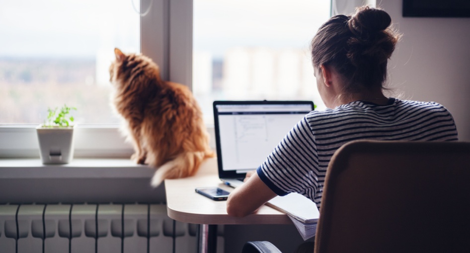 A woman working from home with a cat sitting on her windowsill.